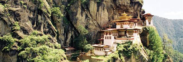 Tiger Nest