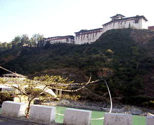 Wangdu